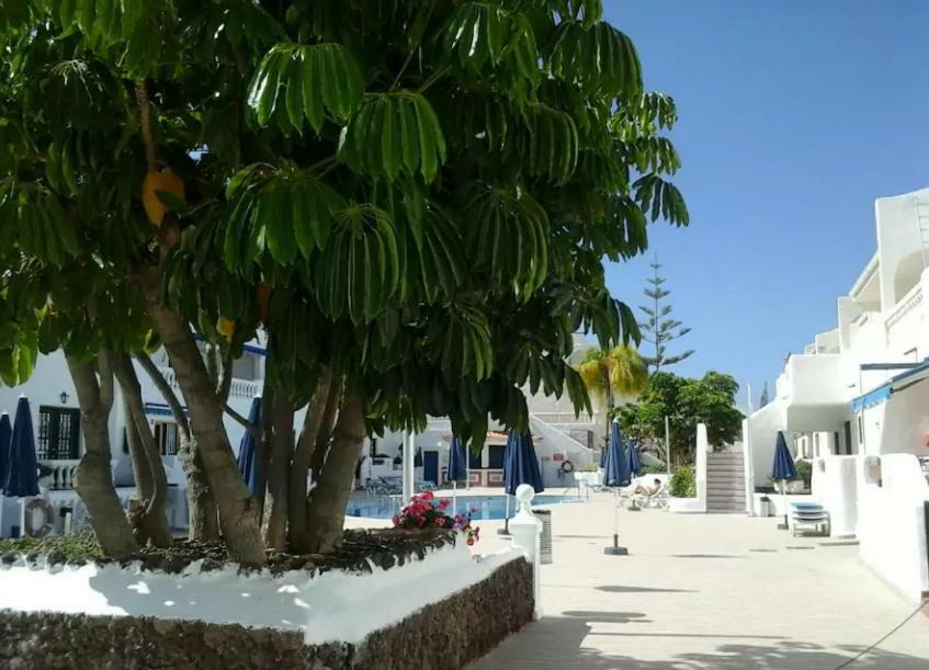 Porto Royale Apartment Los Cristianos  Ngoại thất bức ảnh